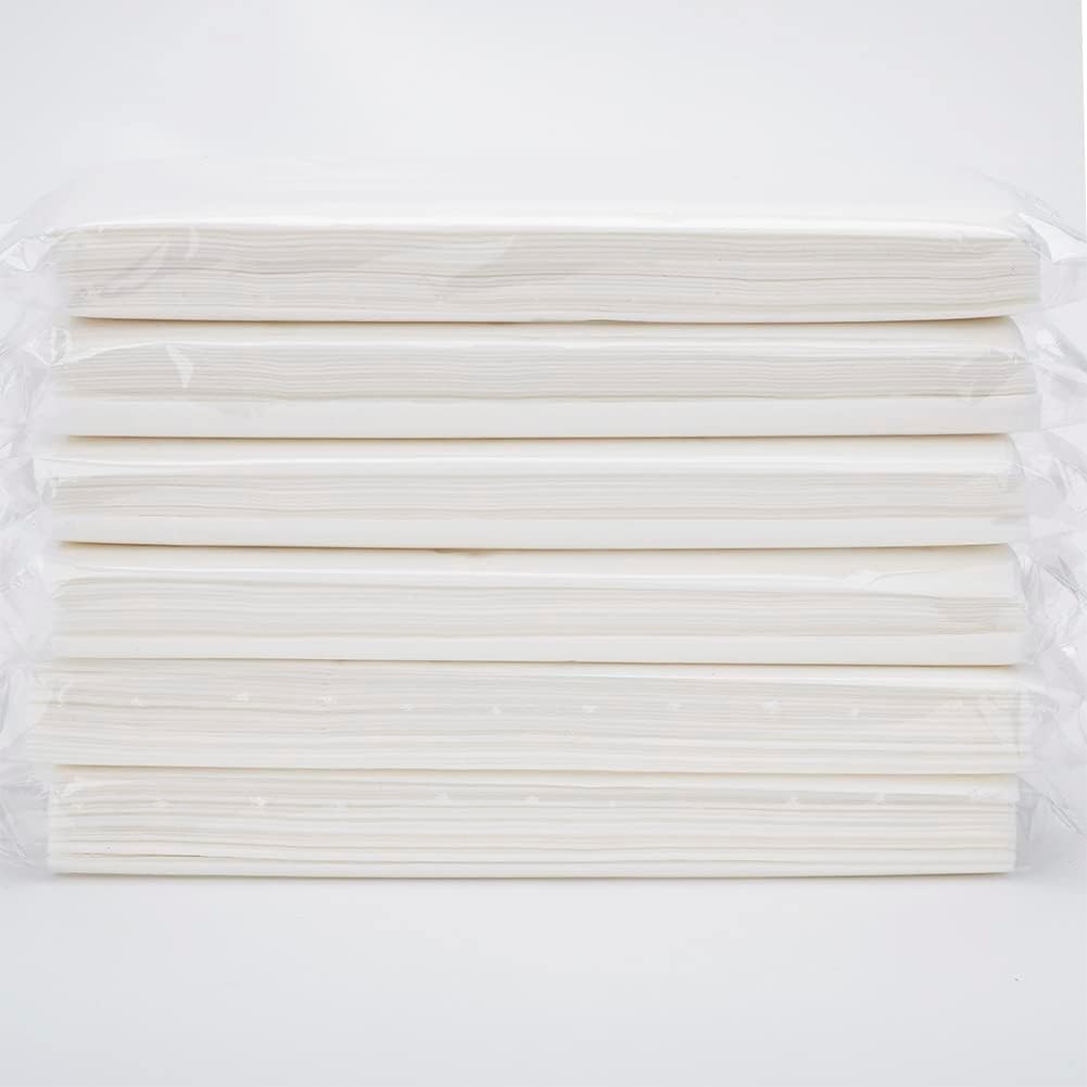 Car Tissue Refills, Facial Napkin Refills for Car Visor Tissue Holder - 600 Sheets, 12 Packs (12 Pack)