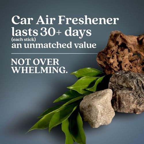 Enviroscent Non-Toxic* Car Air Freshener Auto Stix® - Scents Made Safer - Enjoy Fragrance Lasts Up to 180 Days - Includes Auto Stix® Diffusers & Elastic Loops - Coastal Storm & Teakwood (Pack of 3)