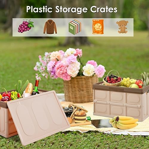 Phyllia Foldable Storage Boxes with Lids, 3-Pack Collapsible Plastic Storage Bins Organizer Containers Baskets Cub with Cover,Stackable Utility Crates Storage Box (Brown, 30L)