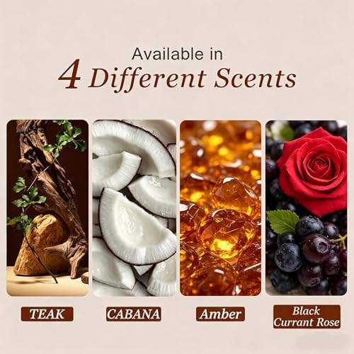 Car Air Freshener Starter Kit - Wood Air Freshener for Visor Clip - Automotive Odor Eliminator - Long Lasting Scent - Scent Refill with Metal Visor Clip (Teak-Cabana-Amber-Black Currant Rose)
