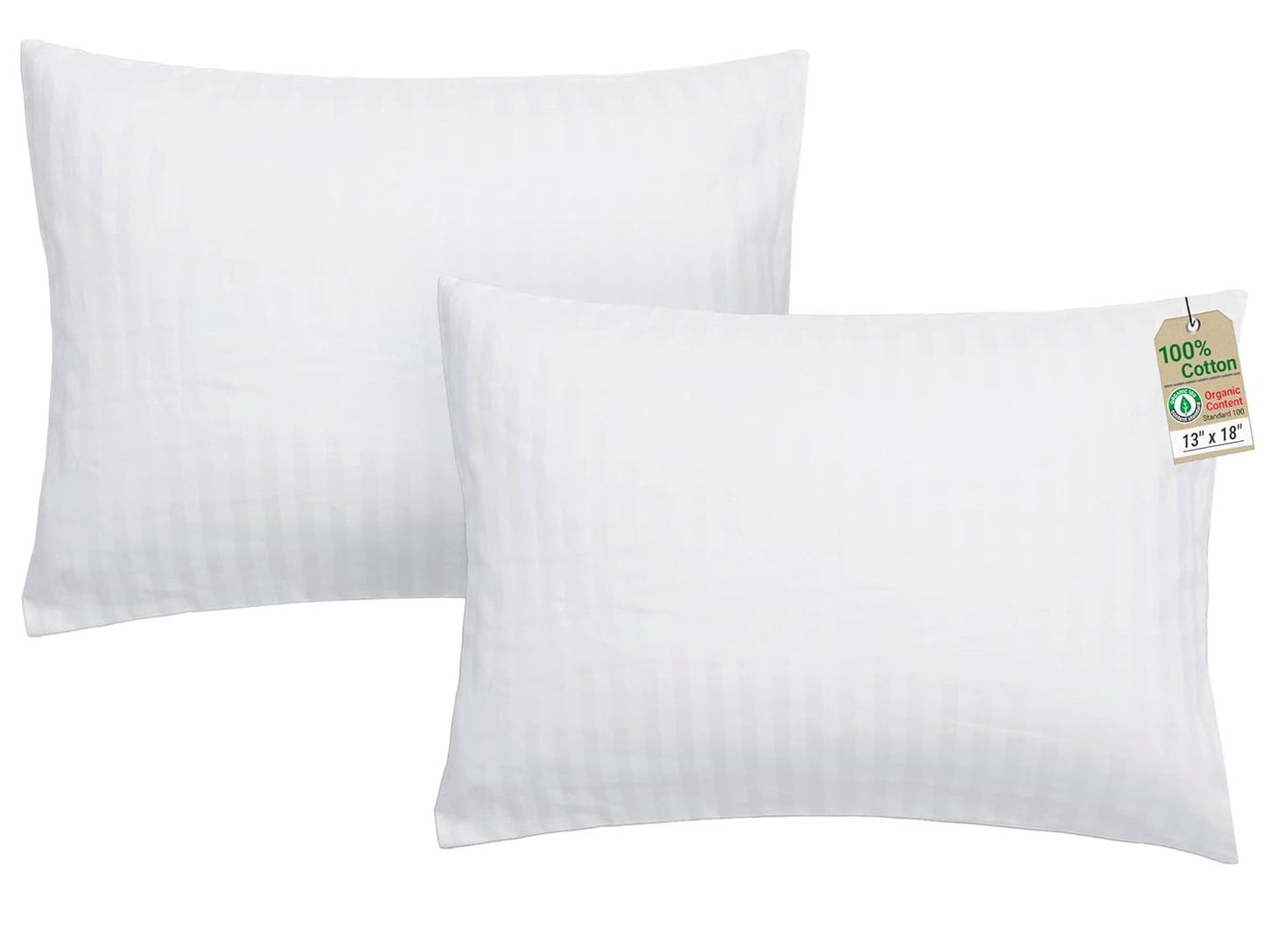 ZPECC Toddler Pillow with Pillowcase 2 Pack - 13x18 Organic Cotton Small Kids Pillow, Soft Breathable Bed Pillows for Sleeping Travel School Nap (Intended for Age 2 and up) Dinosaur