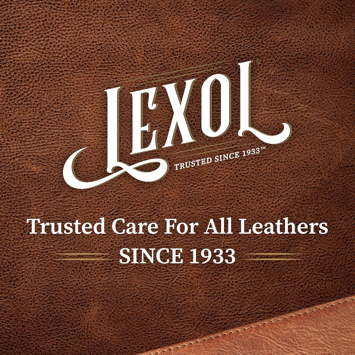 Leather Cleaner and Conditioner Kit by Lexol for Furniture Car Interiors Shoes Handbags, leather cleaner and conditioner two-step system with 2 sponges, 8 oz each