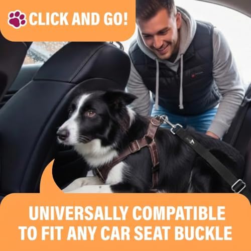 Active Pets Black Car Seat Belt for Dogs, Attaches to Harness & Collar, Adjustable 18" - 24" Travel Restraint System Fits Small - Large Pups for Safety & Comfort, Essential Pet Supplies & Accessories