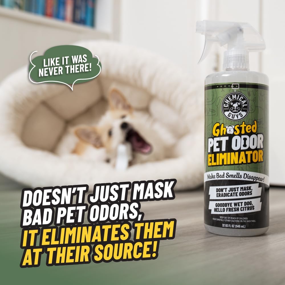 Chemical Guys Ghosted Pet Odor Eliminator 16 Oz Pet Smell Neutralizer for Car Interior, Carpet, Upholstery, Fabric Seats, Home, Furniture, Citrus Scent Spray Cleaner