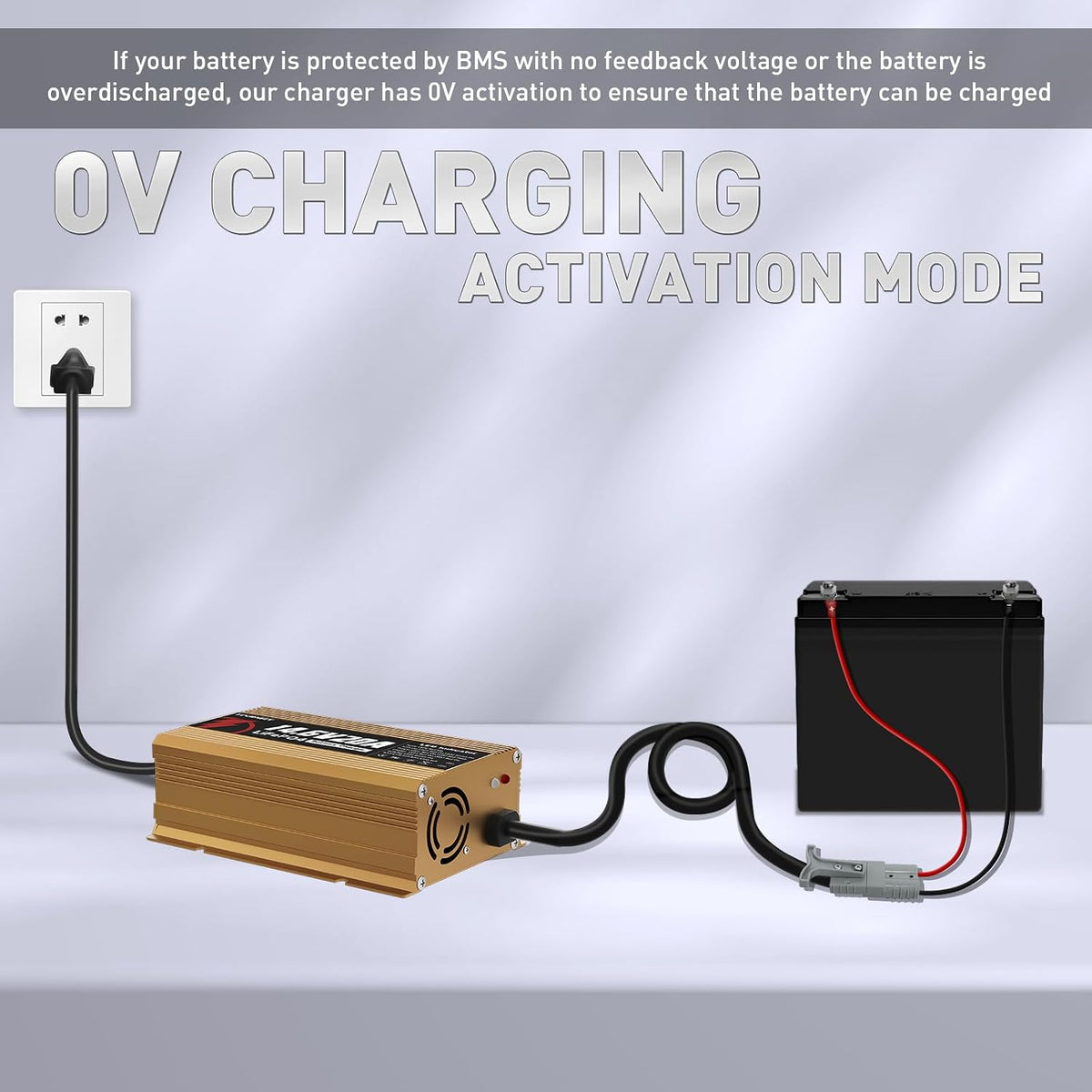 12V 20A Lithium Battery Charger, 14.6V LiFePO4 Charger & 0V Activation