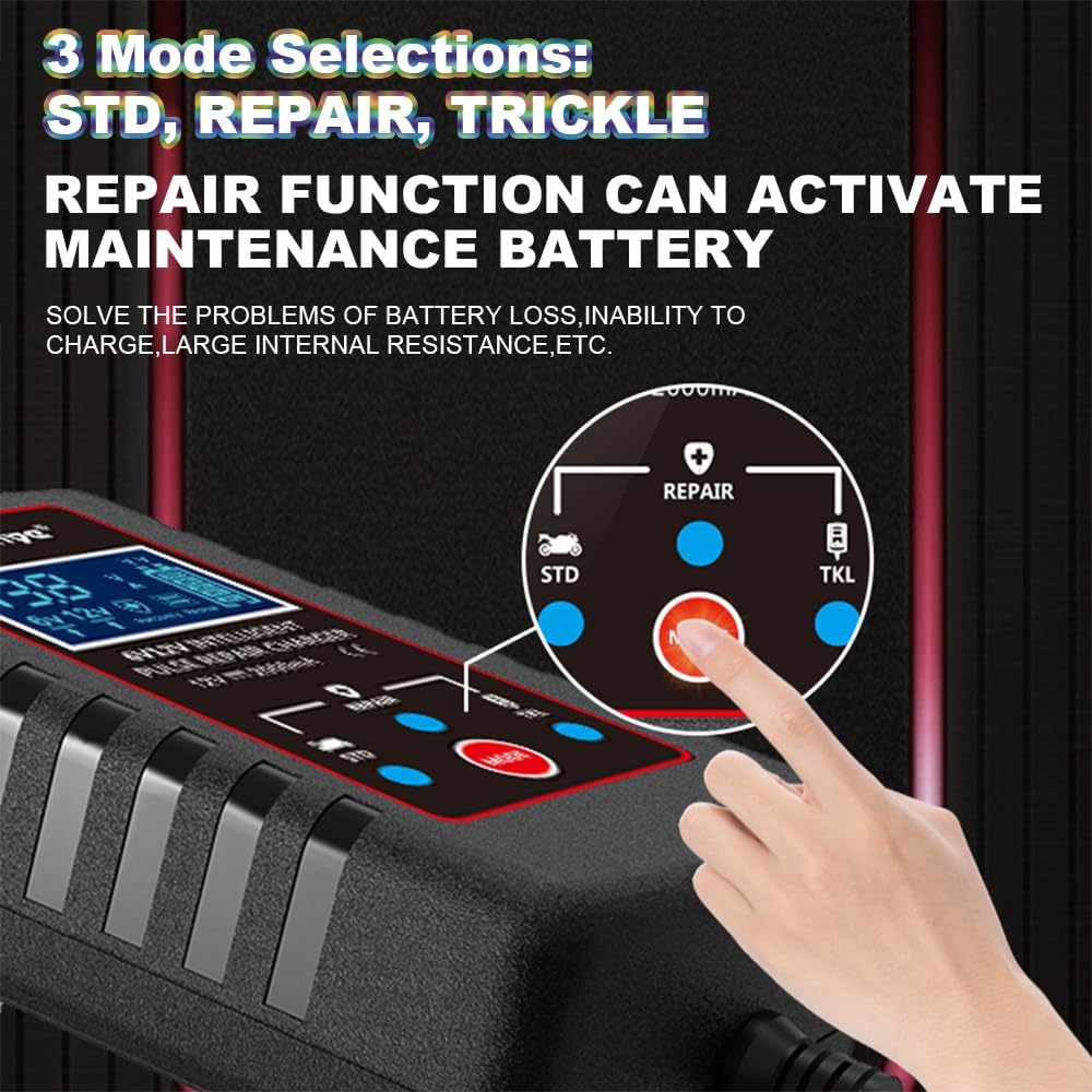 Upgraded 2Amp Car Battery Trickle Charger Maintainer 6V/12V