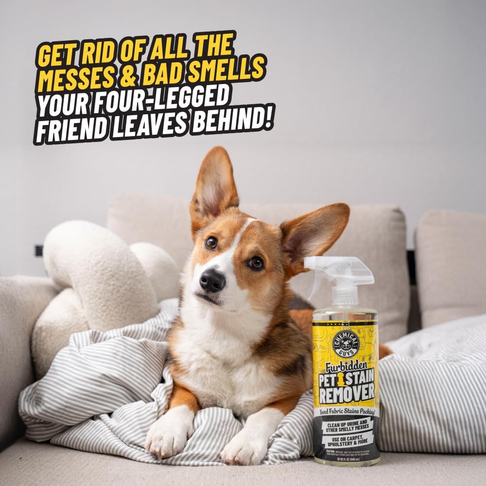 Chemical Guys Pet Mess Cleaning Kit, Furbidden Odor Eliminator 16 oz with Interior Detailing Brush Cleans, Pet Smells, Hair and Light Dirt for Cars Trucks SUVs Home Interiors and Upholstery Care