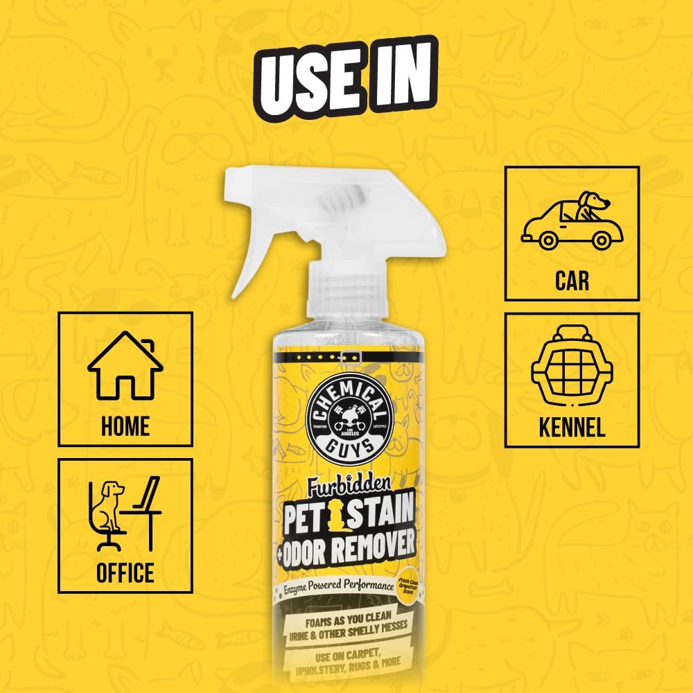 Chemical Guys Pet Mess Cleaning Kit, Furbidden Odor Eliminator 16 oz with Interior Detailing Brush Cleans, Pet Smells, Hair and Light Dirt for Cars Trucks SUVs Home Interiors and Upholstery Care