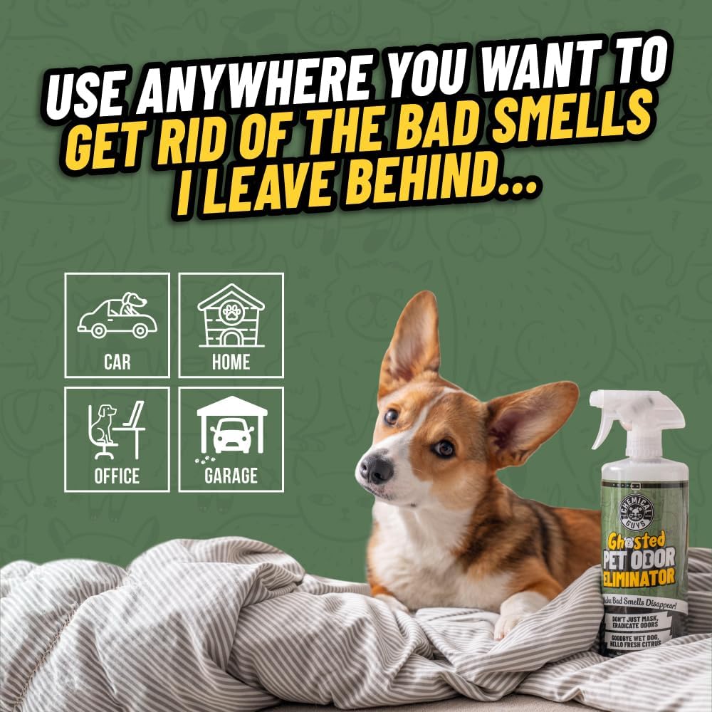 Chemical Guys Ghosted Pet Odor Eliminator 16 Oz Pet Smell Neutralizer for Car Interior, Carpet, Upholstery, Fabric Seats, Home, Furniture, Citrus Scent Spray Cleaner
