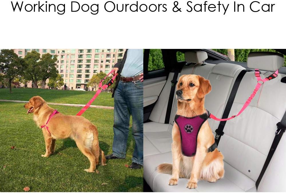 Lukovee Dog Car Seat Belt, 2 Pack Headrest Restraint Seatbelt, Adjustable Pet Safety Leads with Reflective Elastic Bungee for Dog Harness Collar Travel Daily Use (Fluorescent Pink,Headrest)