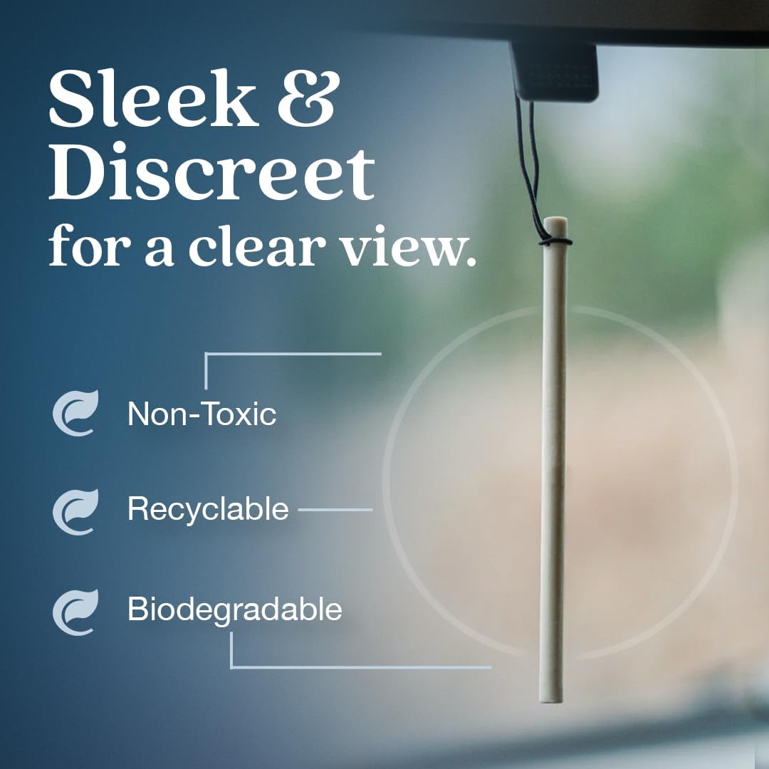 Enviroscent Non-Toxic* Car Air Freshener Auto Stix® - Scents Made Safer - Enjoy Fragrance Lasts Up to 180 Days - Includes Auto Stix® Diffusers & Elastic Loops - Coastal Storm & Teakwood (Pack of 3)