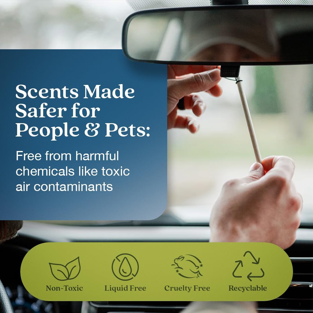Enviroscent Non-Toxic* Car Air Freshener Auto Stix® - Scents Made Safer - Enjoy Fragrance Lasts Up to 180 Days - Includes Auto Stix® Diffusers & Elastic Loops - Coastal Storm & Teakwood (Pack of 3)