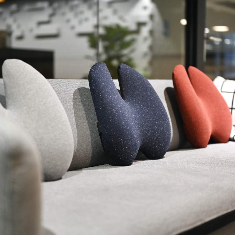C CUSHION LAB Extra Dense Lumbar Pillow - Patented Ergonomic Multi-Region Firm Back Support for Lower Back Pain Relief - Lumbar Support Cushion with Strap for Office Chair, Car, Sofa, Plane - Grey