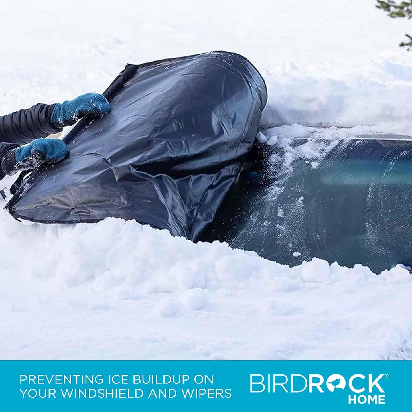 BIRDROCK HOME Car Windshield and Side Mirrors Cover for Ice and Snow | All-Weather Protection | PVC Coated Polyester | Fits Cars, SUVs, Small Trucks | Quick Install | Includes Storage Bag | 61" x 41"