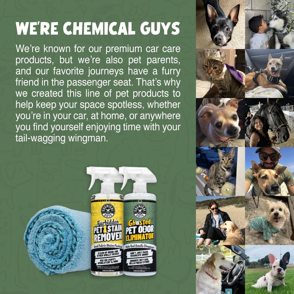 Chemical Guys Ghosted Pet Odor Eliminator 16 Oz Pet Smell Neutralizer for Car Interior, Carpet, Upholstery, Fabric Seats, Home, Furniture, Citrus Scent Spray Cleaner