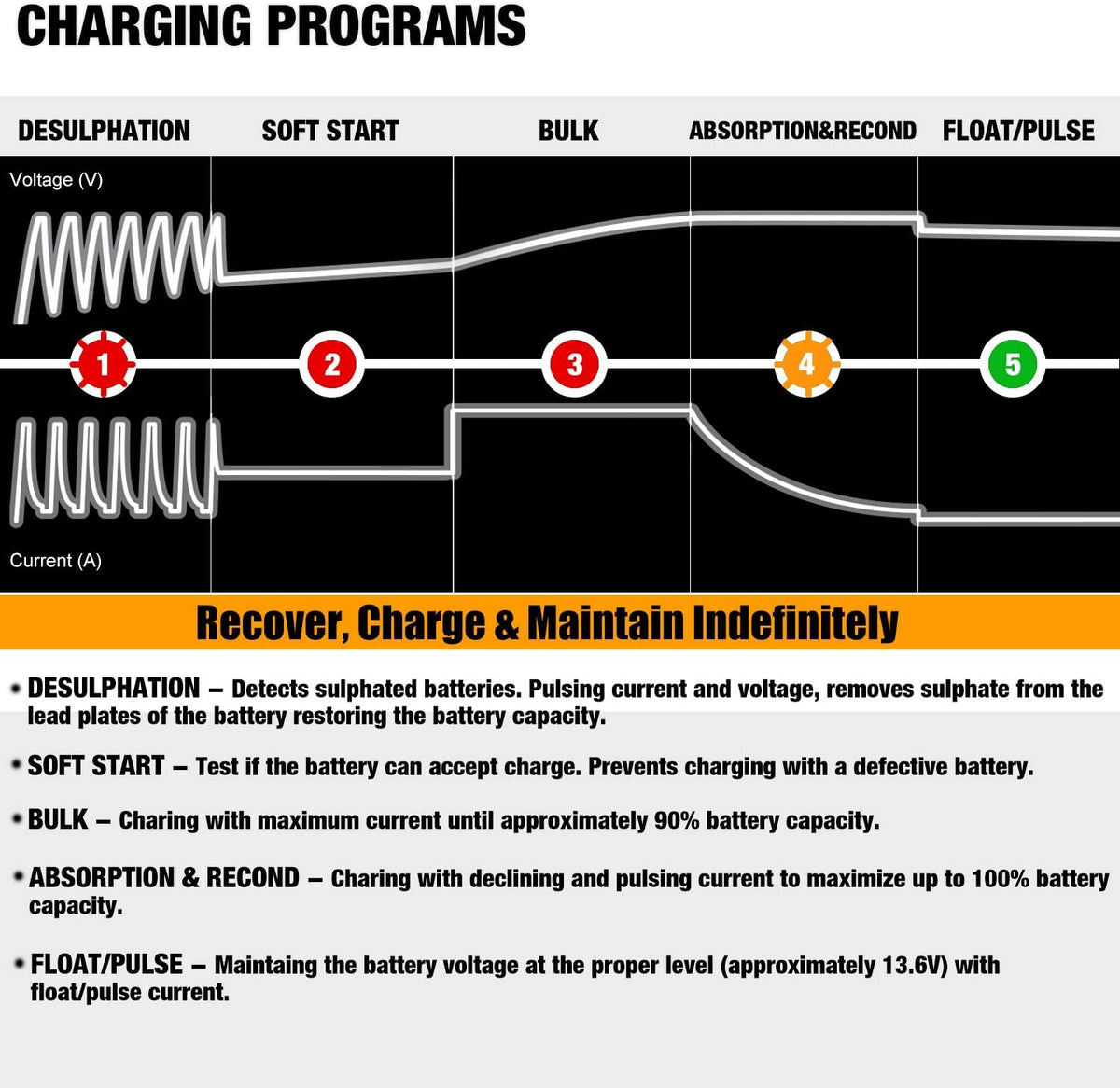 MOTOPOWER 12V 1000mA Automatic Charger - Battery Maintenance - Maintain Charger and Battery Desulfator with Timer Protection.