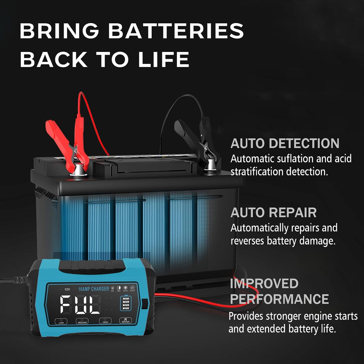 16A Battery Charger, 6V/12V/24V, Battery Maintainer Trickle Charger for Car