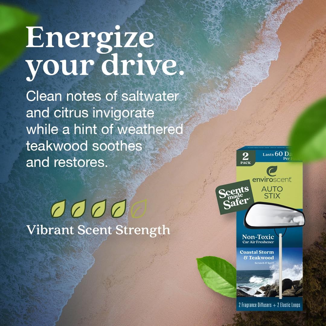 Enviroscent Non-Toxic* Car Air Freshener Auto Stix® - Scents Made Safer - Enjoy Fragrance Lasts Up to 180 Days - Includes Auto Stix® Diffusers & Elastic Loops - Coastal Storm & Teakwood (Pack of 3)