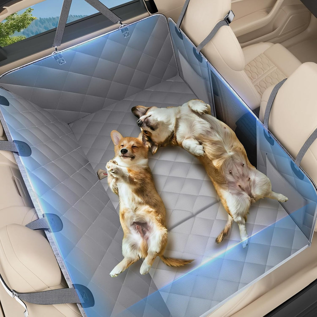 Back Seat Extender for Dogs, Hard Bottom Car Seat Cover