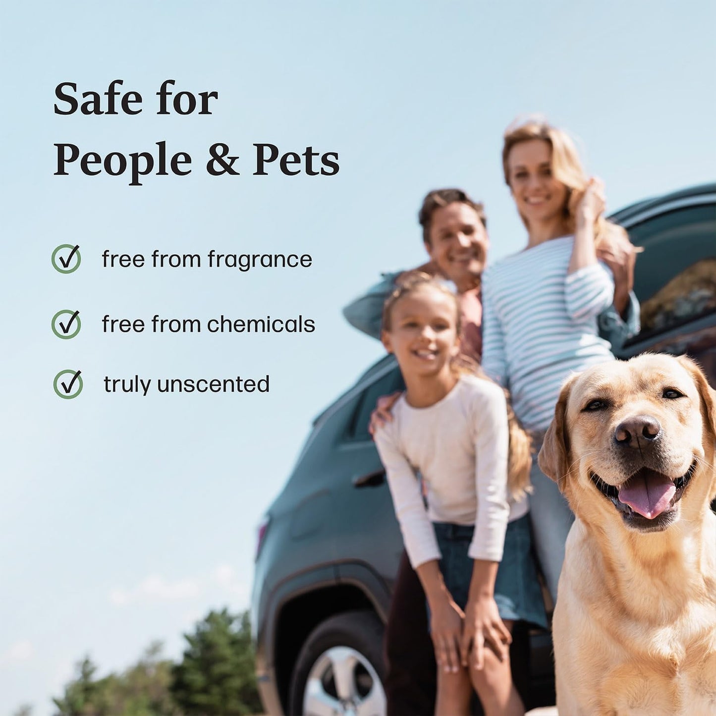 Moso Natural Car Odor Eliminator & Charcoal Odor Absorber, Bamboo Charcoal Air Purifying Bag for Cars, Trucks, SUVs, RVs & Boats — Unscented Deodorizer, Lasts 2 Years, HGTV Editors' Pick