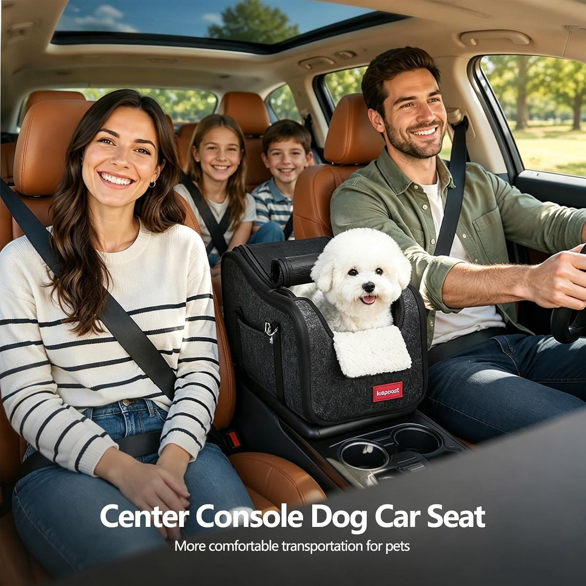 Center Console Small Dog Car Seat,Portable Pet Cat Puppy Booster Armrest Carseat Up to 11lbs,Equipped with a Breathable Protective Cover Net to Prevent Escape with Washable Fluffy Cushion and Pillow