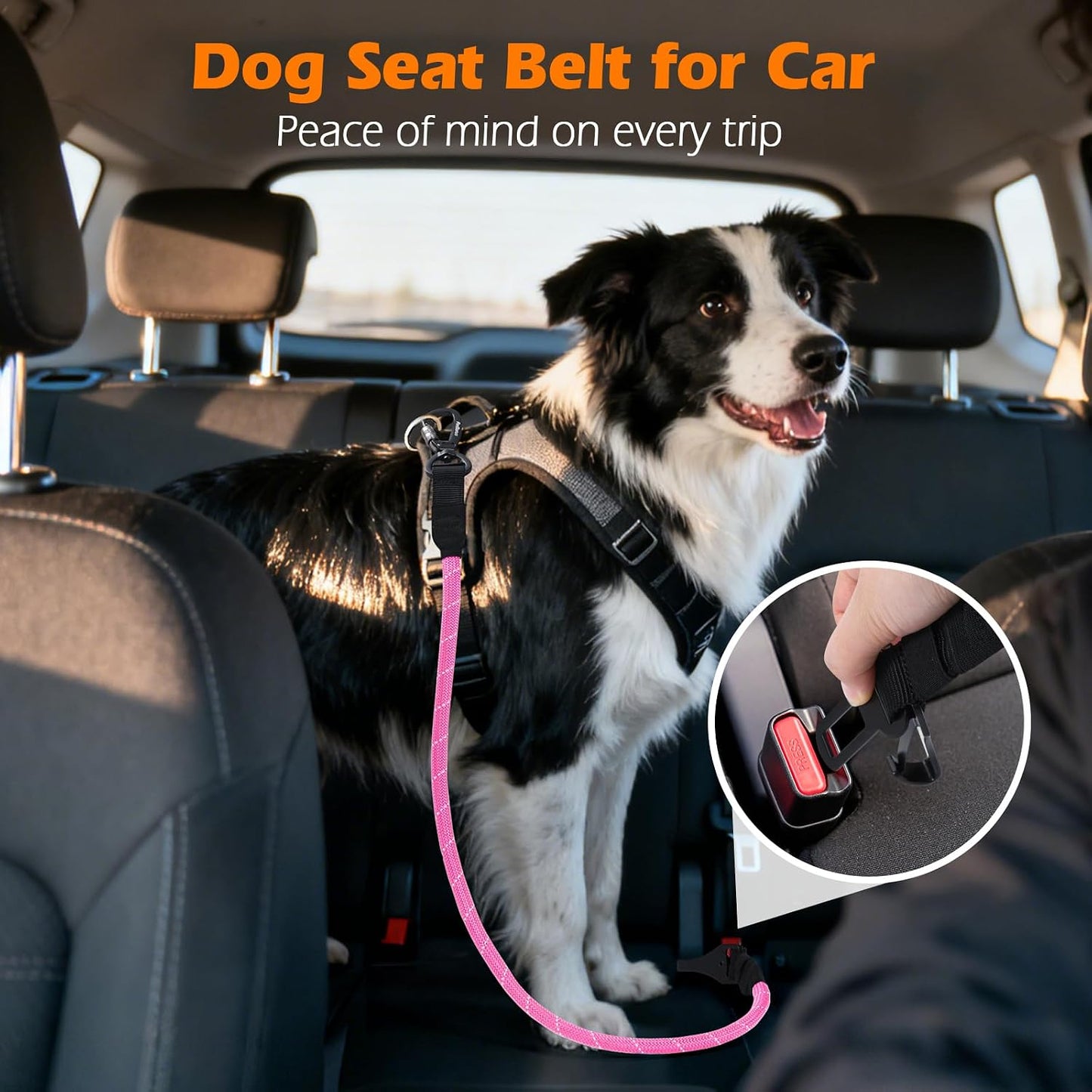 PetBonus Dog Seat Belt for Car, Durable Rope Dog Car Harness Seatbelt for Vehicle, Pet Tether Safety Restraint with Heavy Duty Buckle Hook Latch Lockable Clip for Small Medium Large Breeds (Pink)