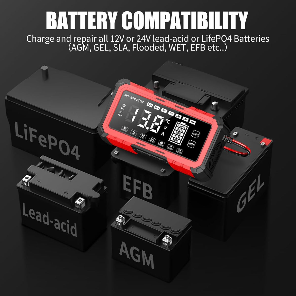 20A Smart Car Battery Charger & Maintainer 12V/24V