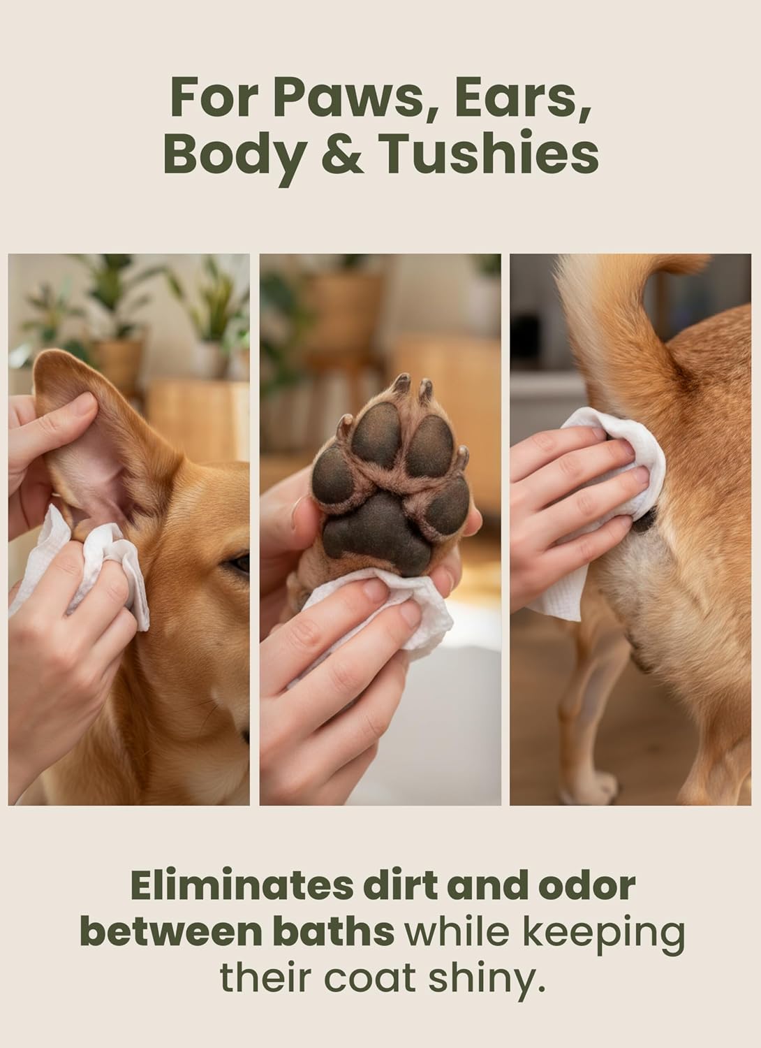 Pogi’s Dog Grooming Wipes – Hypoallergenic Pet Wipes for Paws, Body & Butt – Cleaning & Hydrating, Fragrance Free, 100 Count