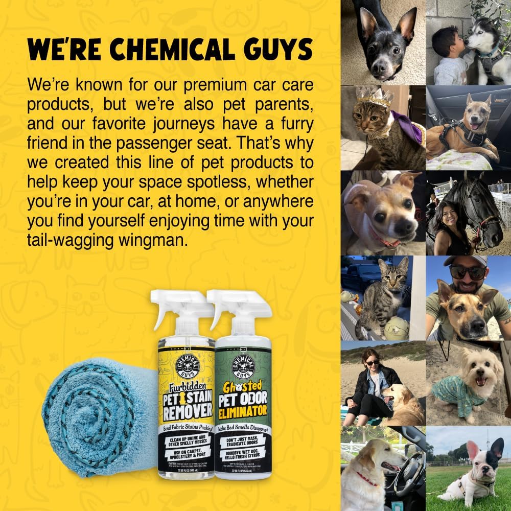 Chemical Guys Pet Mess Cleaning Kit, Furbidden Odor Eliminator 16 oz with Interior Detailing Brush Cleans, Pet Smells, Hair and Light Dirt for Cars Trucks SUVs Home Interiors and Upholstery Care