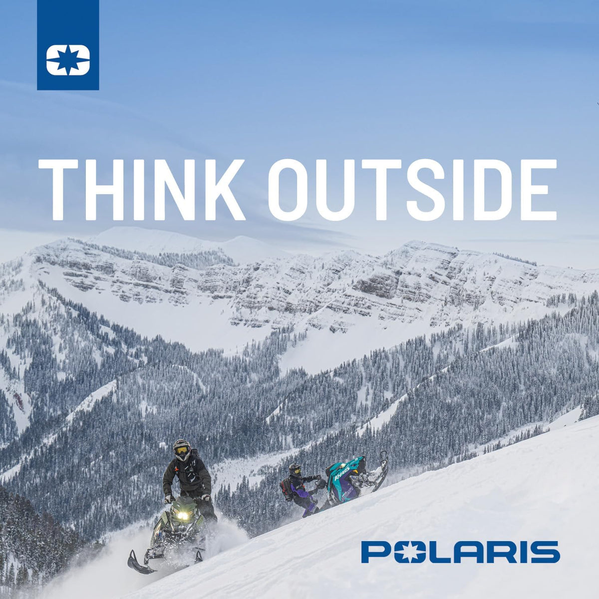 Polaris 50/50 Premix Extended Life Antifreeze, Snow and ORV, 1 Qt - 2880514