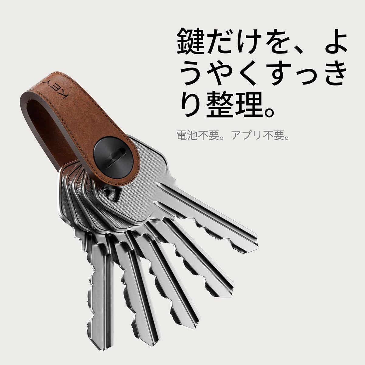 KeySmart Mini - Keychain Key Holder - Compact Key Organizer for Key Chain, Clutter-Free Minimalist Compact EDC Key Chains
