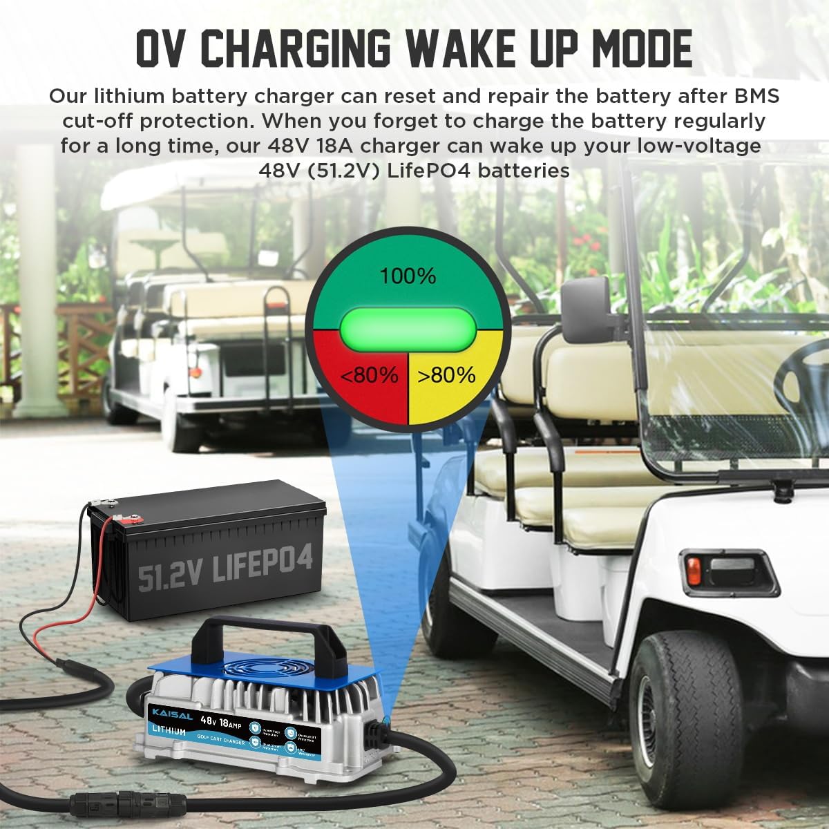 Lithium Battery Charger 48 Volt/58.4V 18A for 48V (51.2V) LiFePO4 Battery 1250W Lifepo4 Battery Charger 48 Volt, IP67 Waterproof, for Golf Cart, Forklift, Electric Outboard, Boat, Solar, RV, Off-Grid
