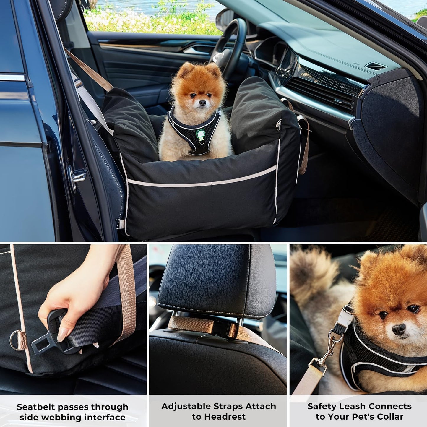 ZOMISIA Dog Car Seat for Small Dogs - Waterproof Pet Booster Seat for Car with Clip-On Safety Leash, Travel Carrier for Medium Puppy up to 25 lbs, Adjustable Buckles, Black