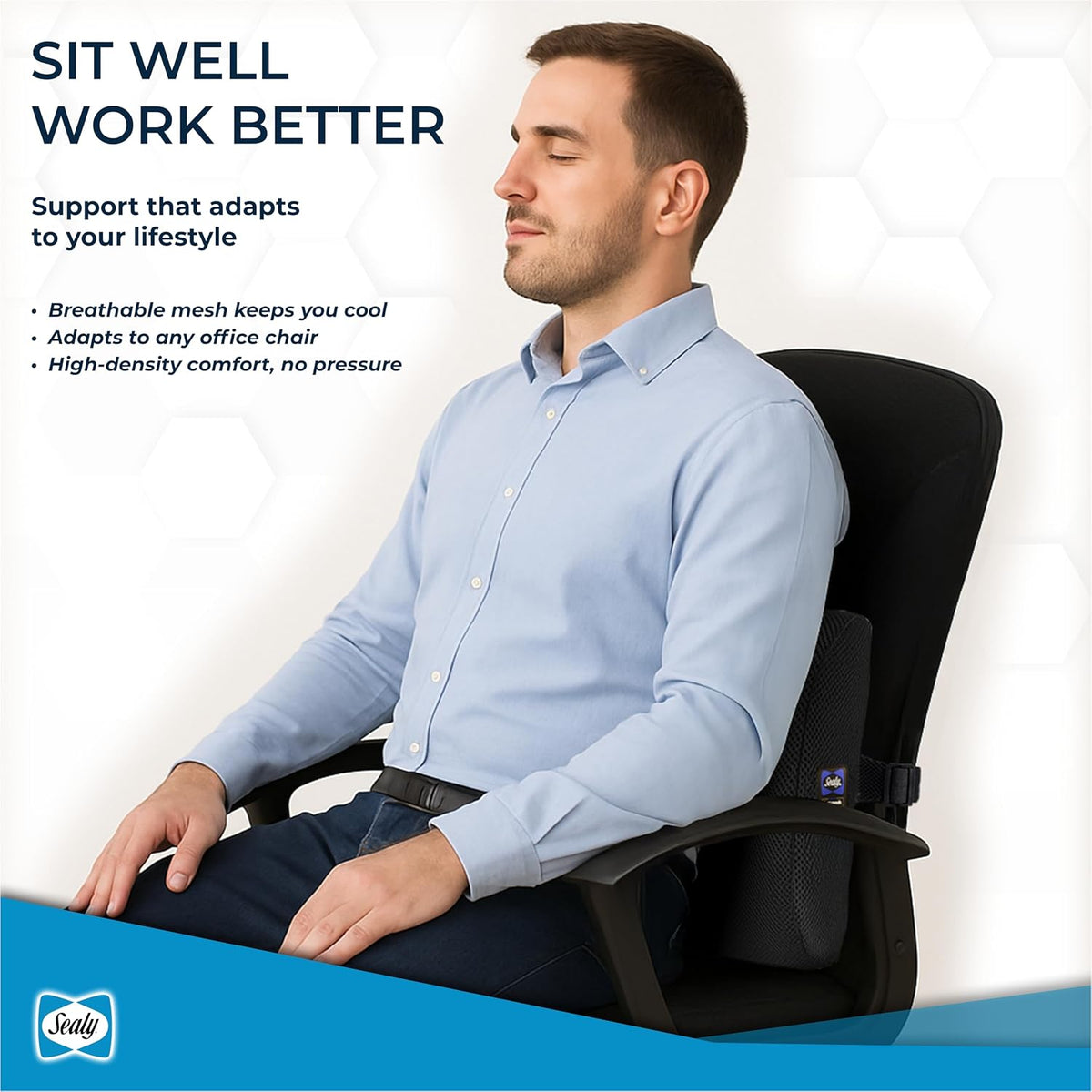 Sealy Lumbar Support Pillow for Office Chair and Car Seat - Lower Back Pain Relief, Memory Foam Lumbar Pillow & Back Brace Support Posture Corrector
