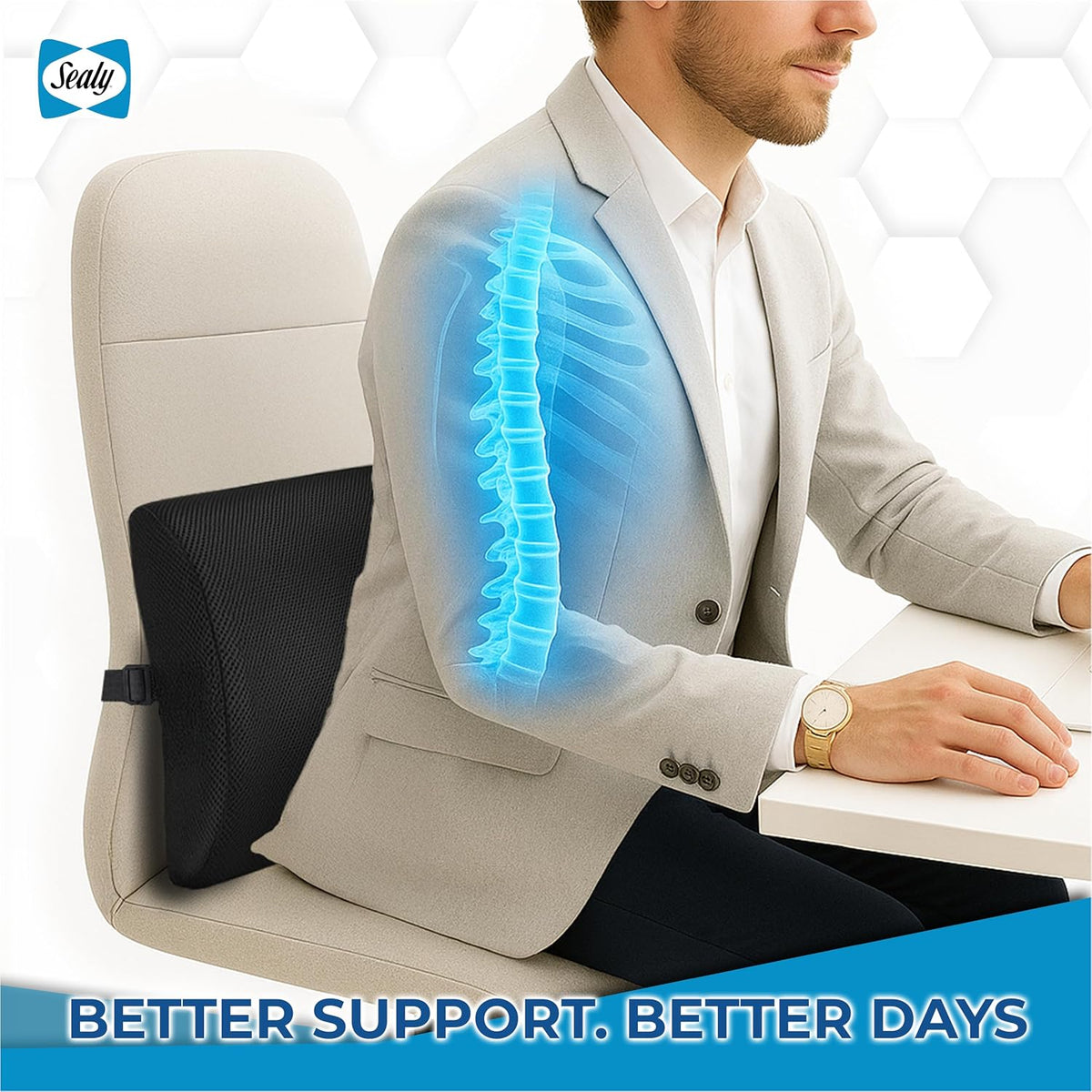 Sealy Lumbar Support Pillow for Office Chair and Car Seat - Lower Back Pain Relief, Memory Foam Lumbar Pillow & Back Brace Support Posture Corrector