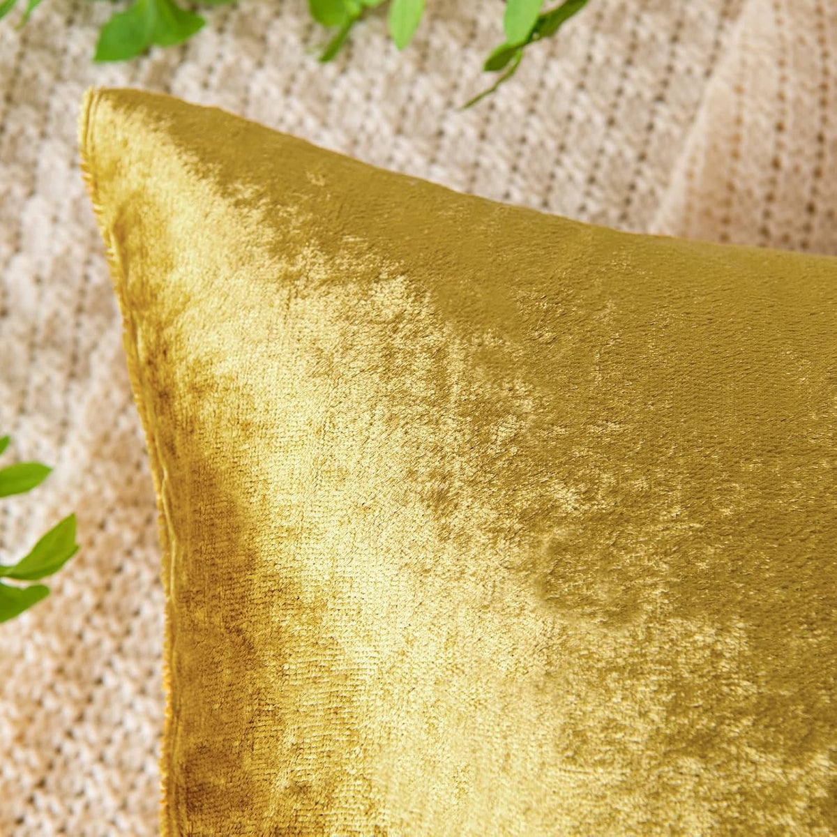 EMEMA Fall Bright Gold Velvet Throw Pillow Covers 16x16 Inch Set of 2 Decorative Square Pillowcase Soft Solid Cushion Case for Couch Sofa Bedroom Livingroom