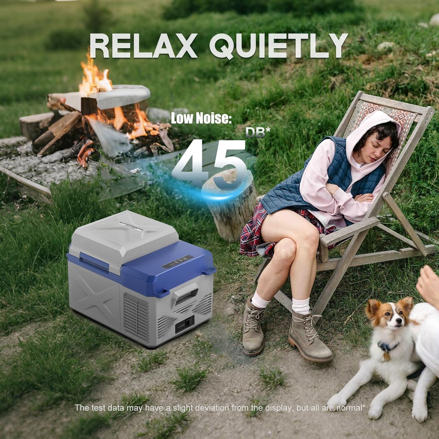 X12 12 Volt Refrigerator,Mini Portable Freezer,13 Quart(12L) Electric Cooler,12V Car Fridge,12/24V DC 100-240V AC for Ourdoor, Camping, Travel, Truck,RV, Boat -4℉~68℉