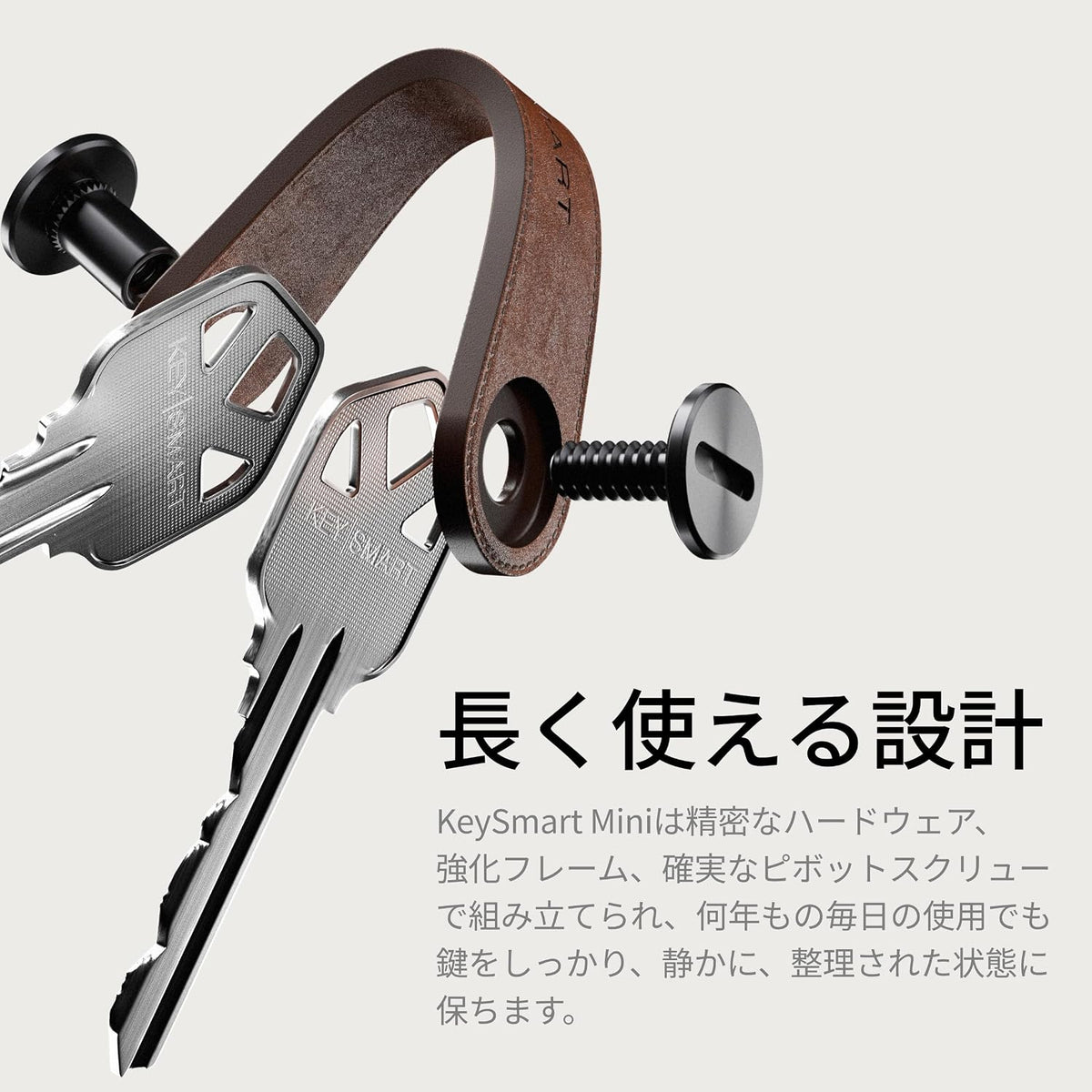 KeySmart Mini - Keychain Key Holder - Compact Key Organizer for Key Chain, Clutter-Free Minimalist Compact EDC Key Chains