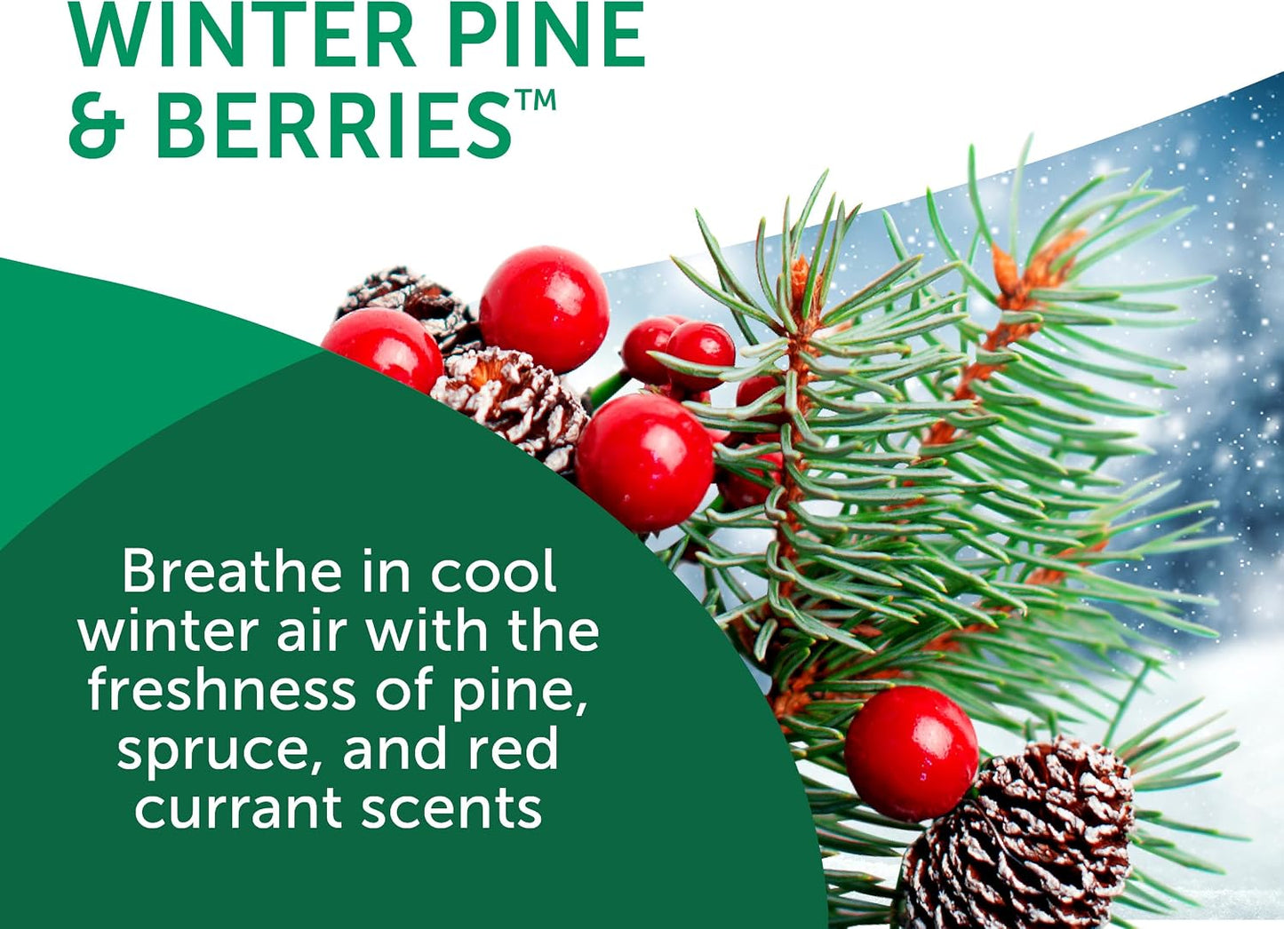 Bright Air 14 oz. Super Odor Eliminator, For Medium-Size Spaces, Winter Pine &amp; Berries Scent, Case of 6, Odor Eliminator &amp; Air Freshener, Natural Essential Oils, Lasts Up to 90 Days Each