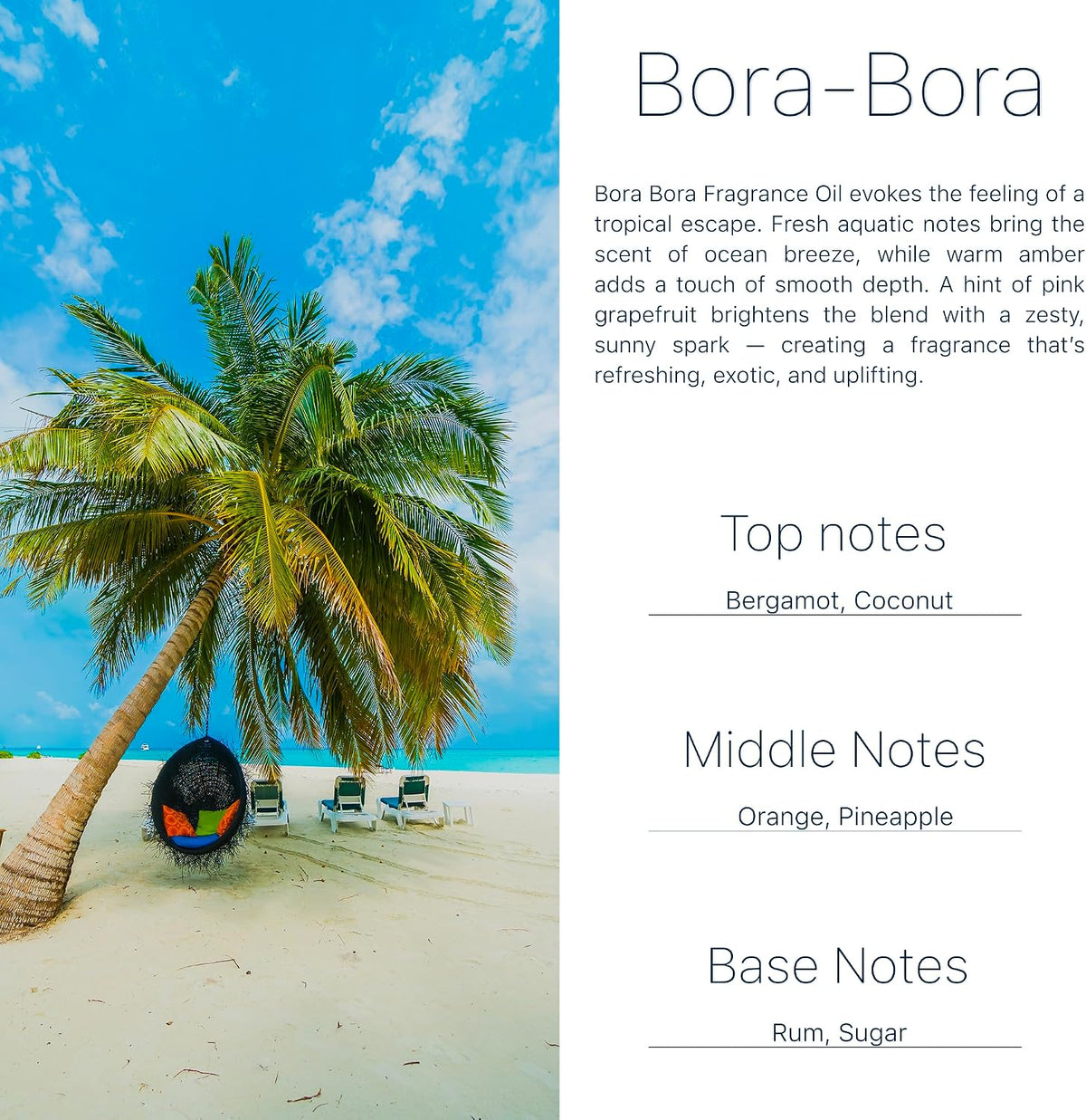 Car Air Freshener Tropical Bora-Bora 2 Pack Coconut Hanging Air Freshener Diffuser, Cute Car Accessories Air Freshner for Women & Men Gift Non-Toxic Car Scent Long Lasting Oil Diffuser Made in USA