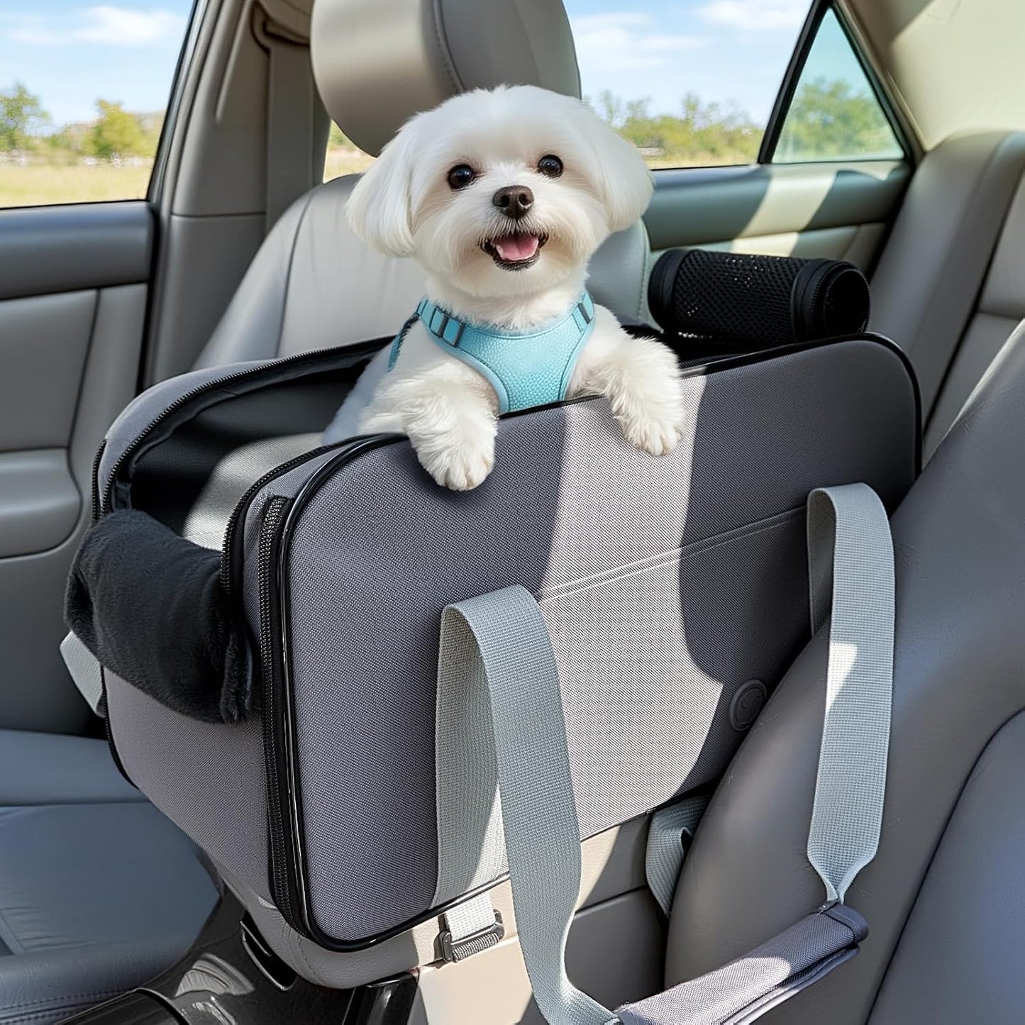 PETSFIT Multipurpose Center Console Dog Car Seat, Airline Approved Dog Car Carrier with Safety Tether and Pockets, Portable Cat Car Seat, Dog Car Seats for Small Dogs, Cats Up to 9 LBS (Deep Grey)