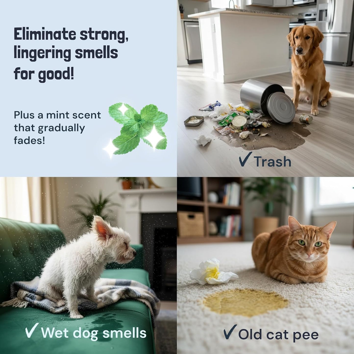 Sunny & Honey Pet Stain and Odor Remover Spray for Carpets, 32floz Mint | USA Made - Enzyme Cleaner for Dog Urine & Poop - Eliminates Set In Stains - Color Safe - For Rugs, Furniture & Car Seats