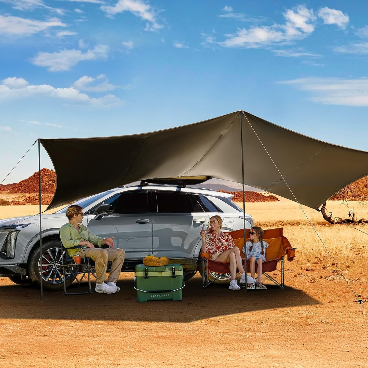 TIMBER RIDGE 19x9.8ft Retractable Vehicle Awning with Blackout Coating Roof Rack Pull-Out Sun Shade Overland Camping, Waterproof Sun Shelter for Car/Truck/Jeep/SUV/Van Green