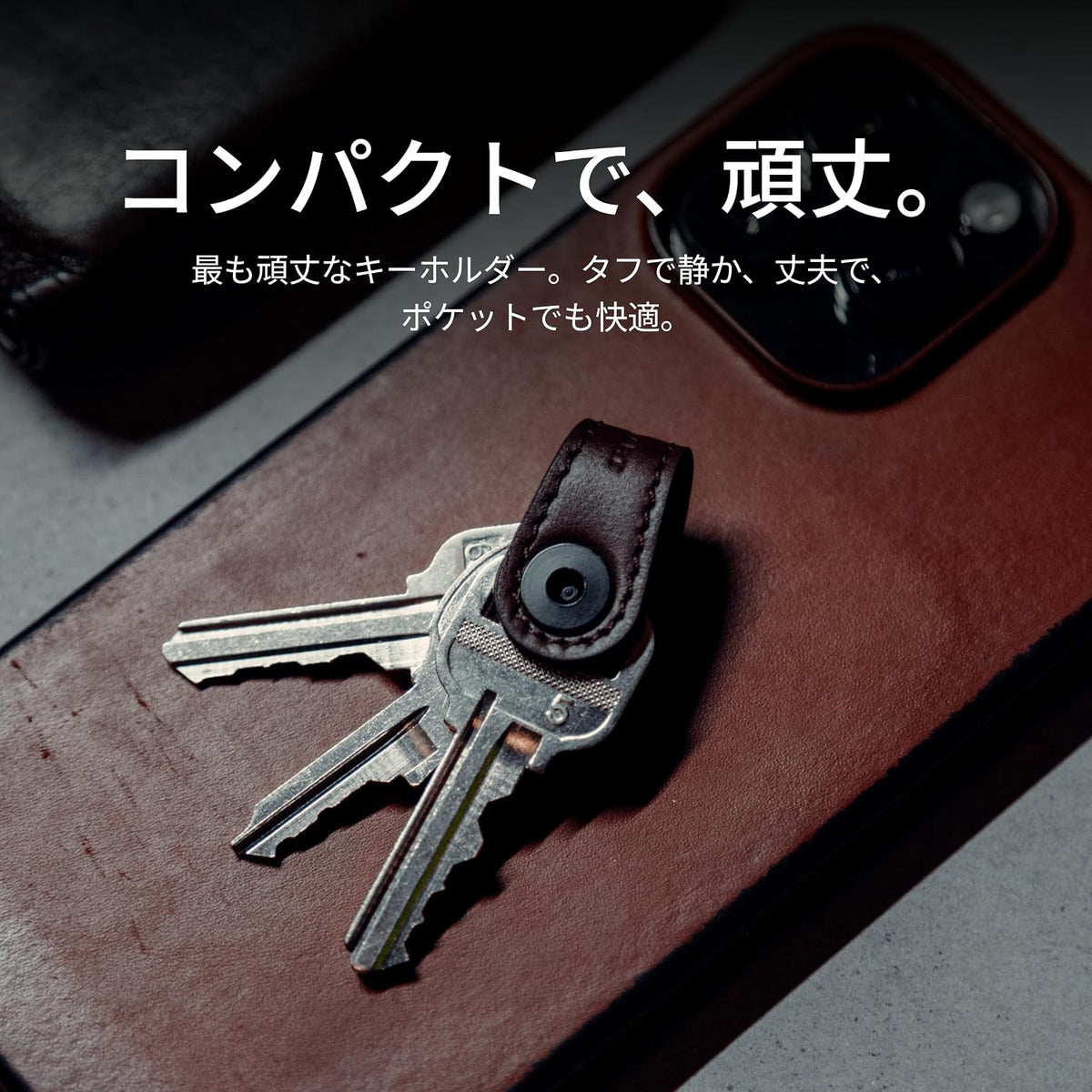 KeySmart Mini - Keychain Key Holder - Compact Key Organizer for Key Chain, Clutter-Free Minimalist Compact EDC Key Chains