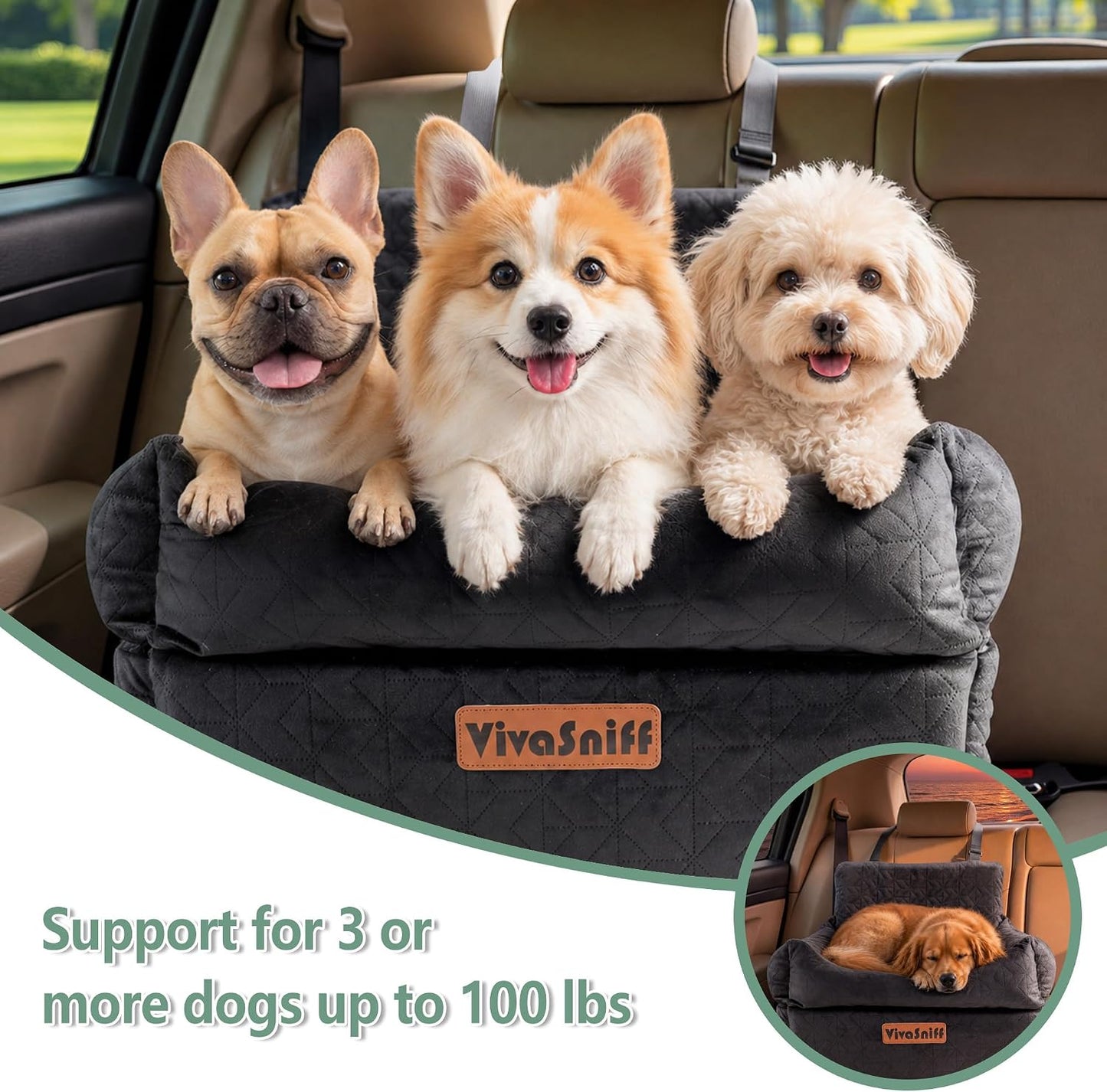 Dog Booster Car Seat for Small/Medium Dogs up to 100 lbs, 6" High Density Memory Foam Elevated Pet Car Bed Detachable and Washable with 2 Storage Pockets &amp; 2 Safety Belts (Black)