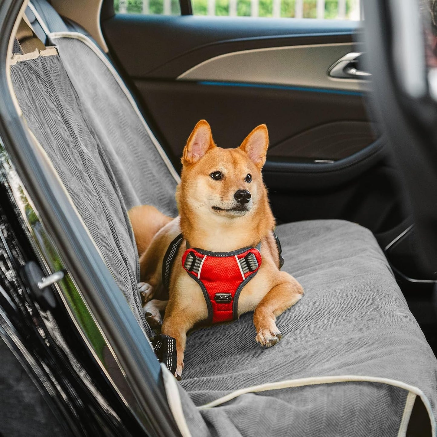 FUNNY FUZZY Dog Car Seat Cover for Back Seat, Back Seat Pet Cover for Dogs Waterproof, Scratchproof Dog Backseat Cover, Non-Slip Bench Car Seat Protector, Universal Fit Most Cars, SUVs, Trucks, Grey