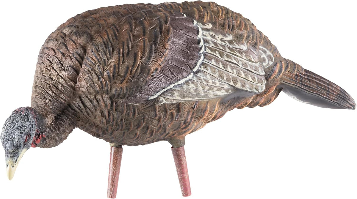 Avian-X LCD Feeder Hen Turkey Decoy with X-Factor Motion System – Realistic Lifelike Collapsible Standing Turkey, Durable Design, Carry Bag & Collapsible Stake for Hunting