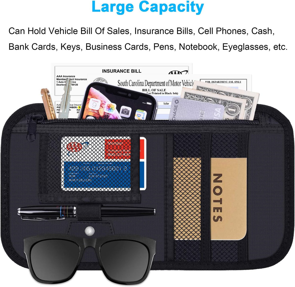 Wisdompro Car Sun Visor Organizer, Registration and Insurance Holder, Black