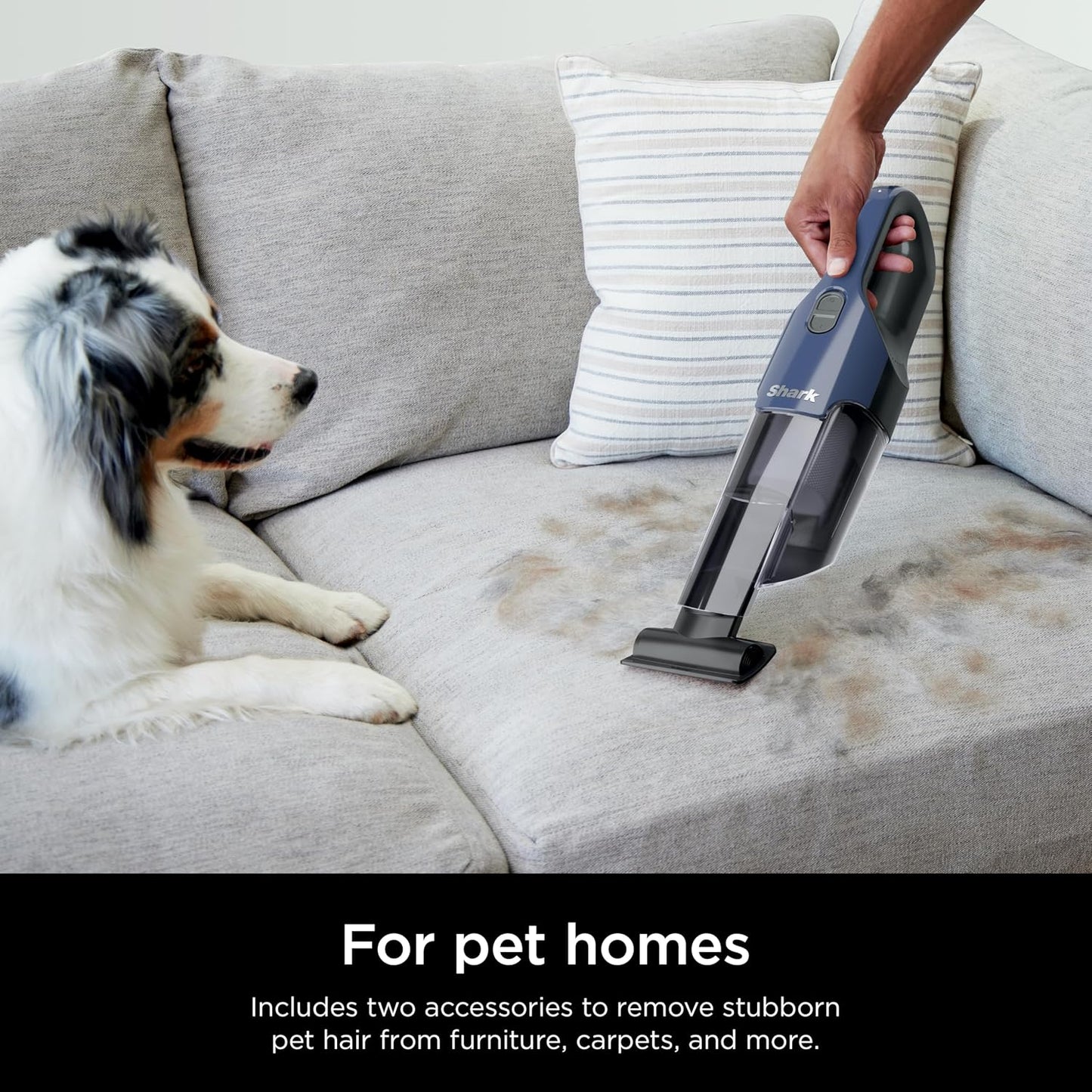 Shark Cyclone PET Handheld Vacuum | HyperVelocity Suction | Powerful Pet Hair, Home & Car Cleaning | USB Rechargable| Lightweight | Crevice Tool & Multi Surface Pet Tool | Navy Blue/Grey | CH701